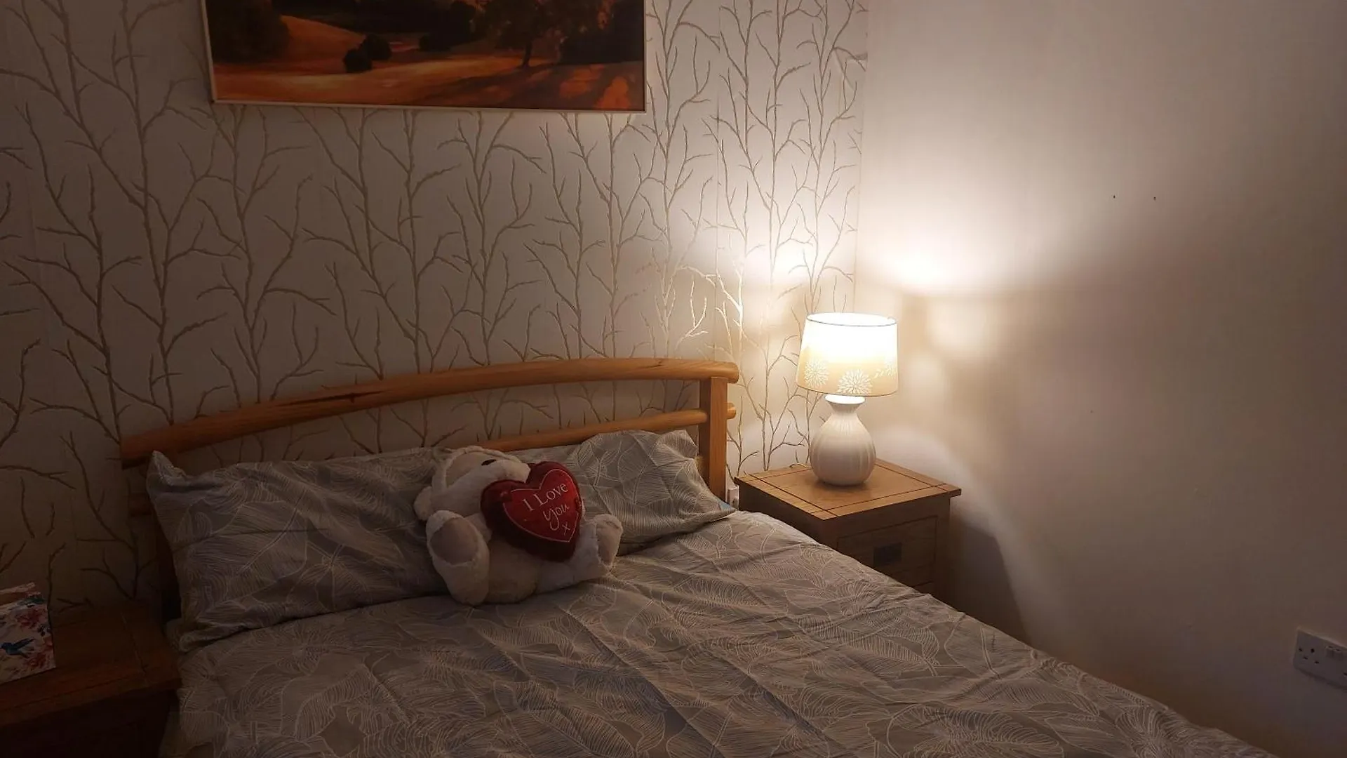 בלפסט Apartment Middle Of City Center